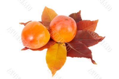 Two persimmons and autumn leaves.