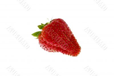 fresh strawberries