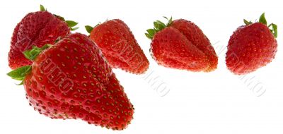 fresh strawberries