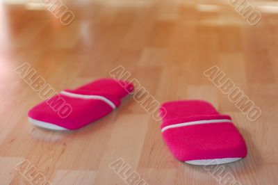 Slippers