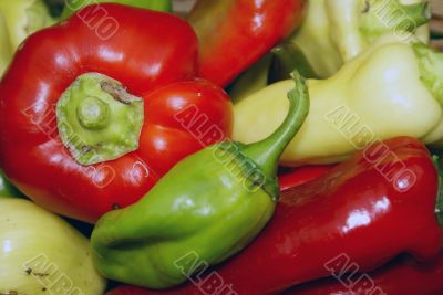 Colorful Peppers