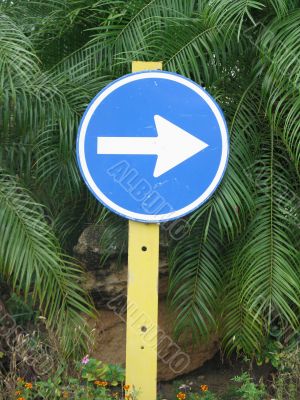 blue street direction sign