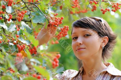 The girl near a mountain ash