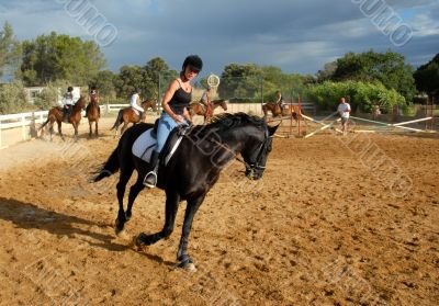 training of horse competition