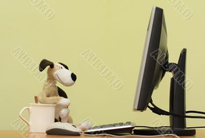 The dog