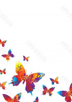 white bright butterfly