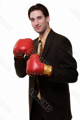 Business boxer
