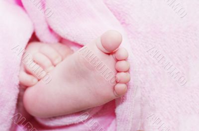 Little foot in pink