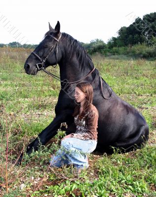 sitting horse