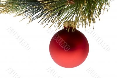 Christmas tree ball