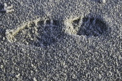 Footprint in the sand, with ice crystalls