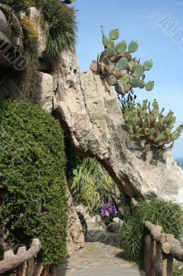 Exotic garden in Monaco