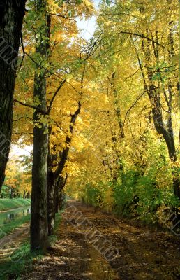 Autumn alley along the chanel