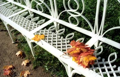 Bench with leaves somebody left behind