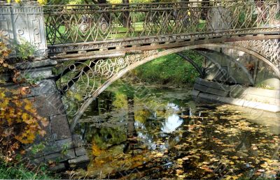 Bridge and fallen leaves