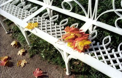 Garden bench with maple leaves
