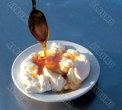 Farm yoghurt with honey