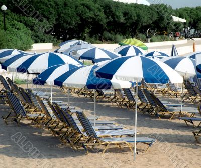 Umbrellas and sun beds