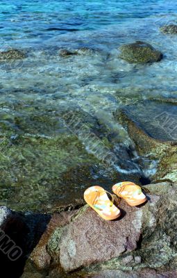 Yellow flips near water