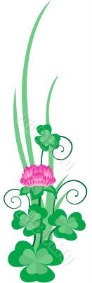 Clover
