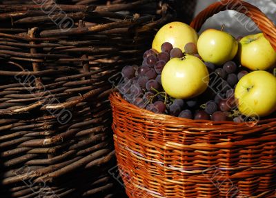 Basket with grapes and apples