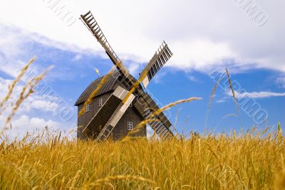 windmills