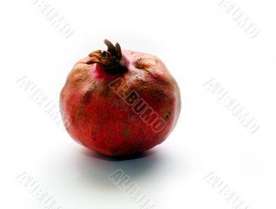 Single grenadine fruit