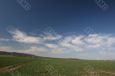 landscape with grassland and clouds