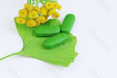 Closeup of pills and fresh Ginkgo Biloba