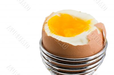 eggcup