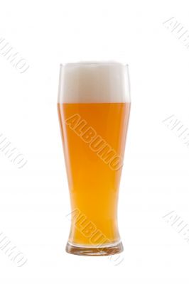 bavarian wheat beer