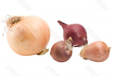 onions
