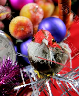 decorative birdy