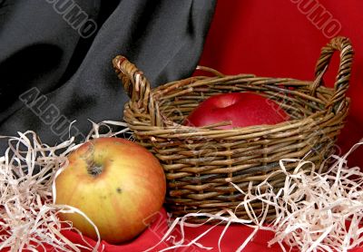 still life