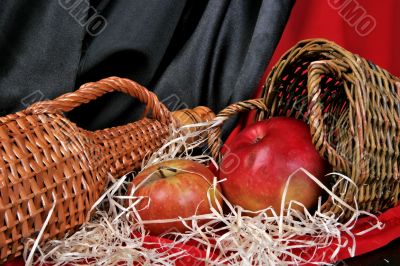 still life