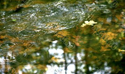 puddle