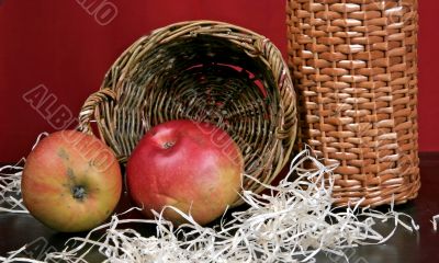 still life