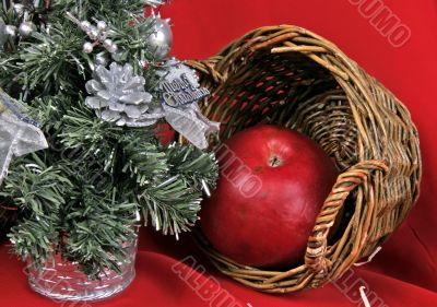 christmas tree and apple