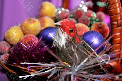 decorative birdy