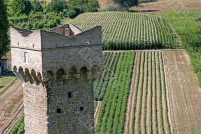 Umbria - Tower and fields