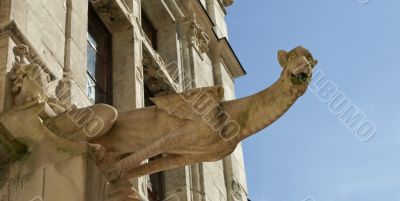 Medieval gargoyle