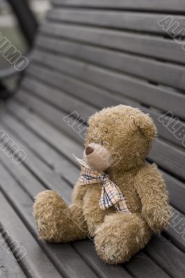 Lost Teddy
