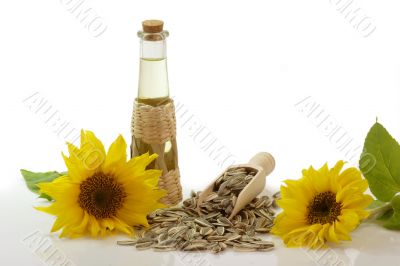 Sunflower Oil in a Bottle