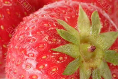 Close-up of Strawberries