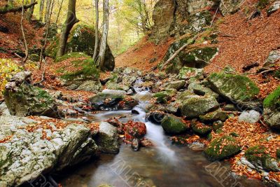 Autumn scene