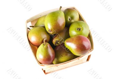 Seckel Pears in Basket