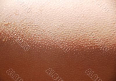 HUMAN SKIN DETAIL