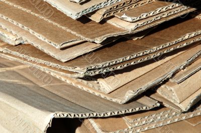 Cardboard