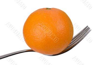 tangerine