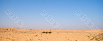Israeli soldiers excersice in a desert